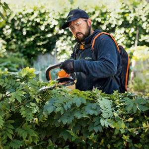 Sövényvágó, magassági sövényvágó